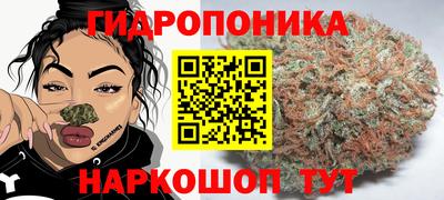 винт Будённовск