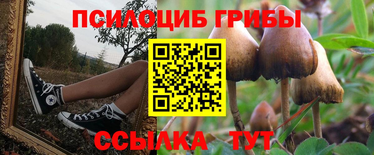 Псилоцибиновые грибы GOLDEN TEACHER Тавда