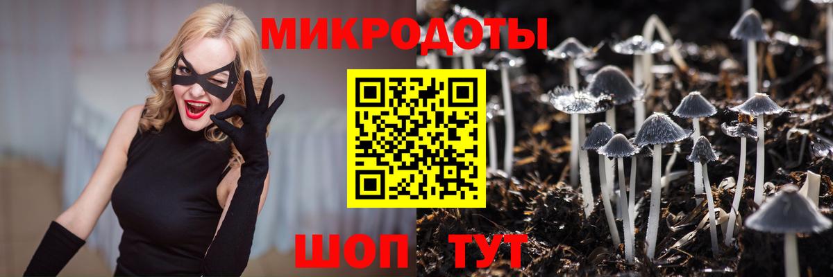 Тавда  Псилоцибиновые грибы Psilocybine cubensis  Псилоцибиновые грибы Psilocybine cubensis  Вход с VPN 